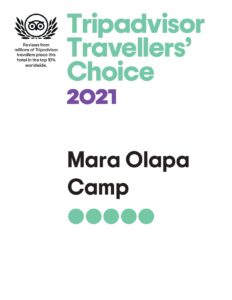 Trip advisor 2021 _page-0001